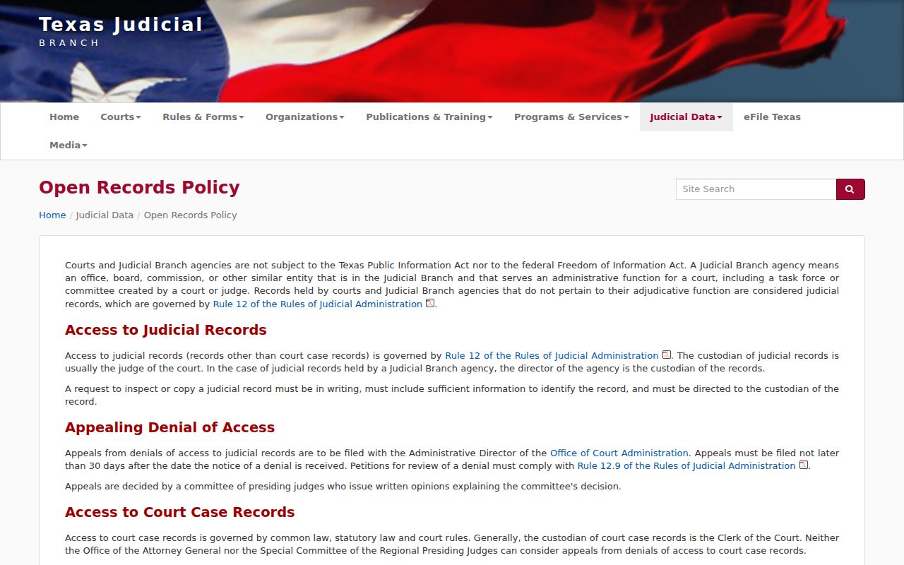 Texas courts explanation of judicial and court case record access